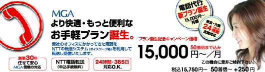 お手軽プラン誕生。